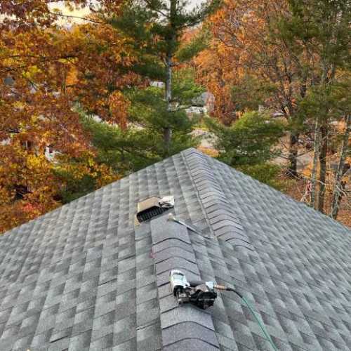 Royale Roofing Contractor 500
